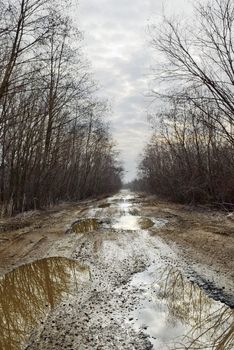 Dirty rural road in countryside, that's a real situation for countryside roads