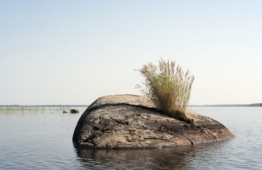 Small stone island with a grass bush on northern lake