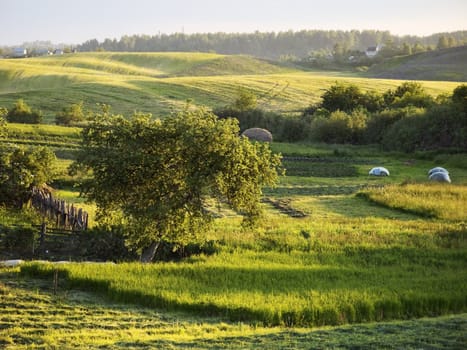 Belarus countryside at evening