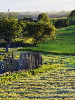 Belarus countryside at summer