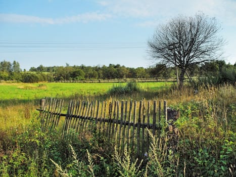 Old wooden poles fence  in village meadow