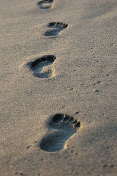 Close up on footprints on a golden beach