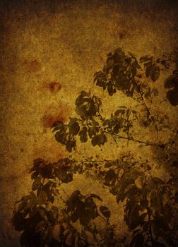 A grunge paper ornated with flowers