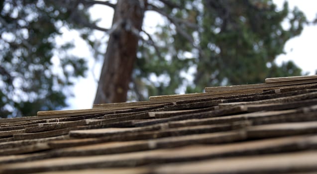 roof top of a cabin in the wilderness