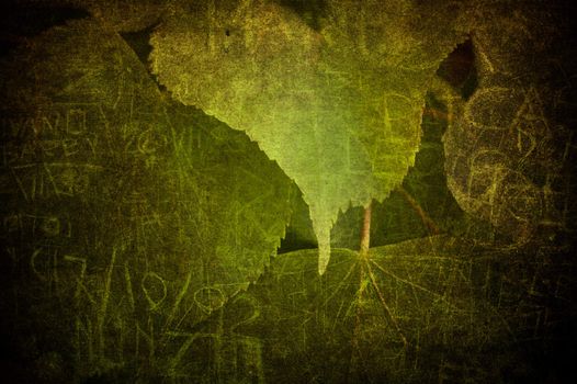 A texture with a green grunge leaf