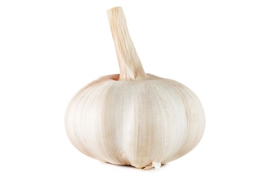 Closeup view of garlic isolated on white background.