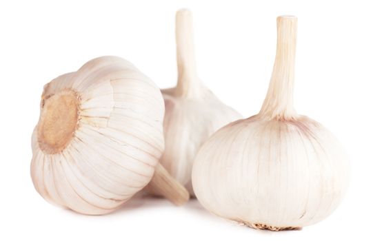 Closeup view of three garlics isolated on white background.