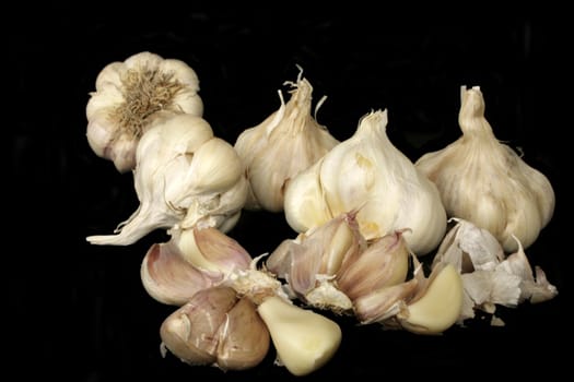 Fresh ripe garlic in isolated over black background