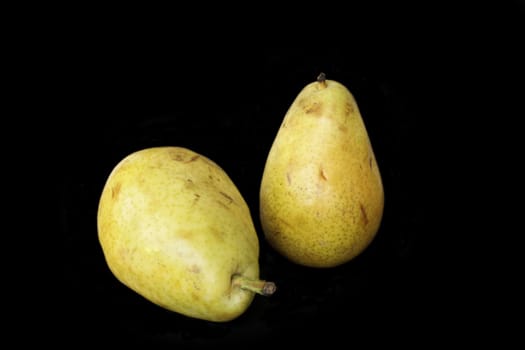 Two  ripe yellow pears in isolated over black background