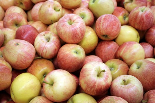 Fresh ripe apples for sale in the market