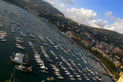 Many boat in a harbour in the evening