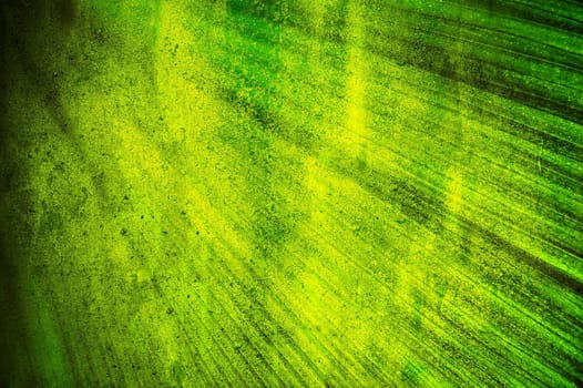 A close up of a grunge green leaf