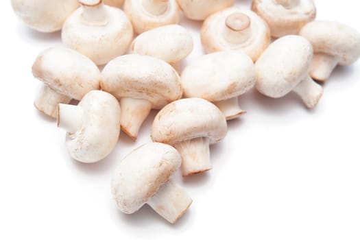 Champignons isolated on the white background