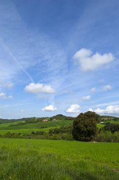 A shot of a green land and blue sky