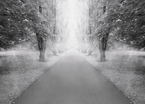 Black and white picture of the morning fog in a Norwegian landscape