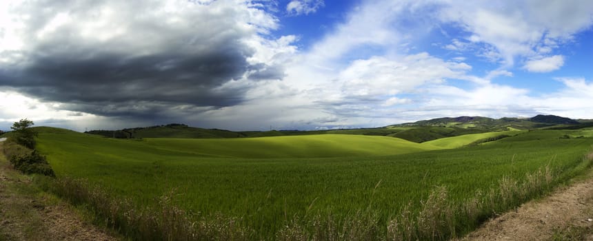 A panoramic view oa a green field