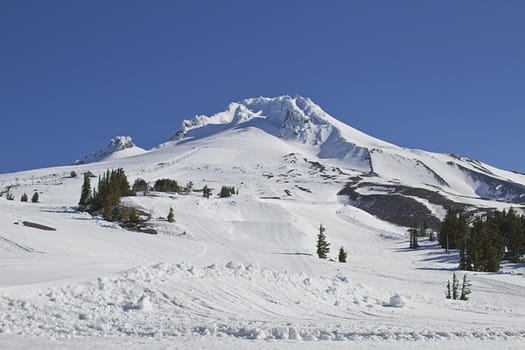 Mount Hood Ski Slope with Blue Sky