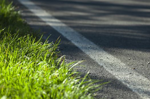 Close up of a road in the green