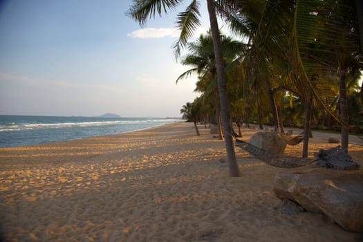 exotic beach with palm trees and hammock at sunset-horizontal
