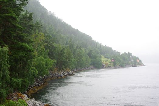 Foggy morning on shore of Sognefjord, Norway