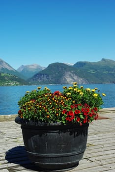 Flowerbed on the pier on beautiful mountain landscape background