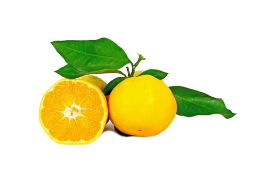 Two ripe oranges with leaves isolated on white