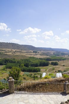 View along the river Tajo, with fields. Brihuega, Spain