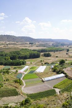 Cultivated land in a rural landscape, Brihuega, Spain