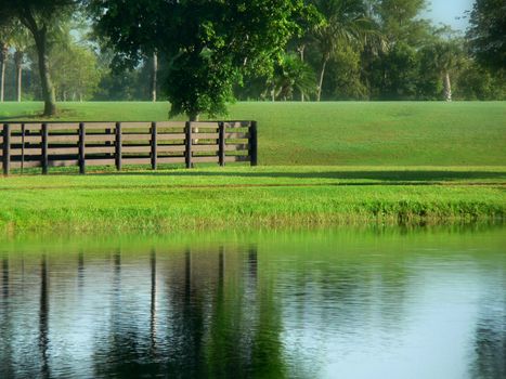 beautiful pasture beside still lake on early spring or summer morning