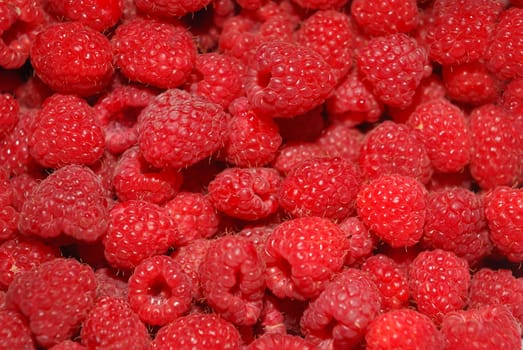 sweet and red raspberry. fruits - background texture