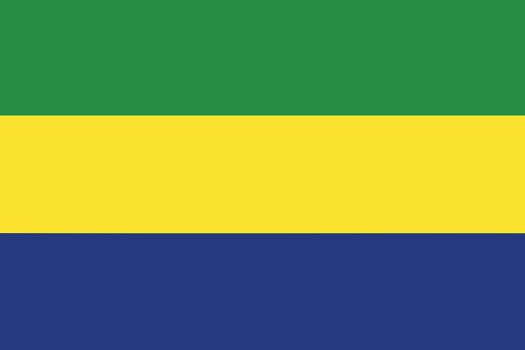 national flag of Gabon