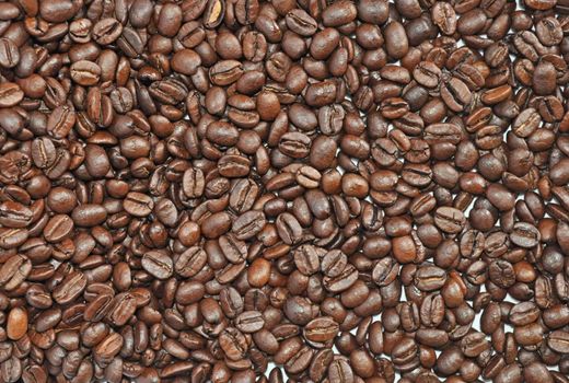 Many grains of Arab coffee