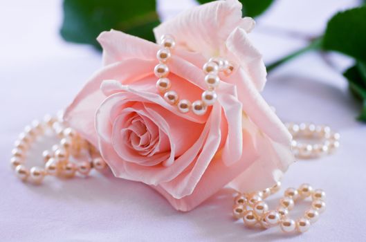 Soft pink rose with a pearl necklace