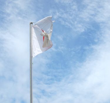 The national Japanese flag of Japan (JP)