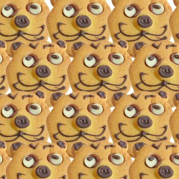 Range of homemade baked cookies with cat face isolated on white