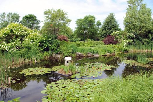 Small pond in a beautiful forest in spring