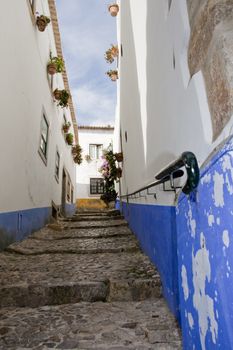 view of the typical streets of  the small village Obidos located on Portugal.