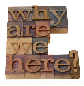 philosophical question, why are we here , in vintage wooden letterpress printing blocks, stained by color inks, isolated on white