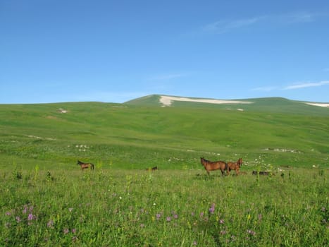 Mountains, rocks; a relief; a landscape; a hill; a panorama; Caucasus; top; a slope; a snow, clouds; the sky