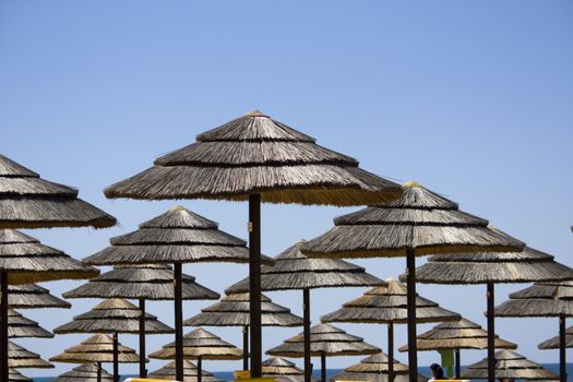 View of many aligned rows of straw umbrellas on some beach.