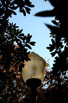 Street lamp surrounded by tree leafs on a garden.