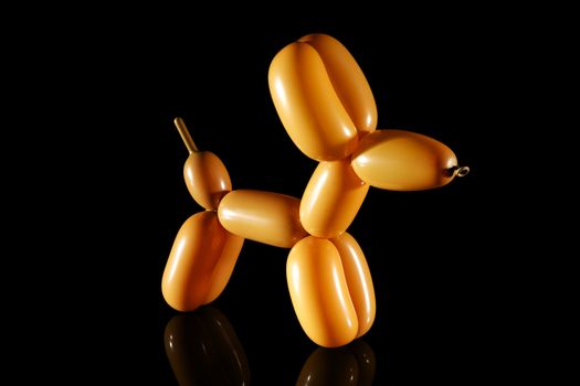 Balloon dog isolated on black with reflection