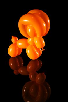 Balloon ram isolated on black with reflection