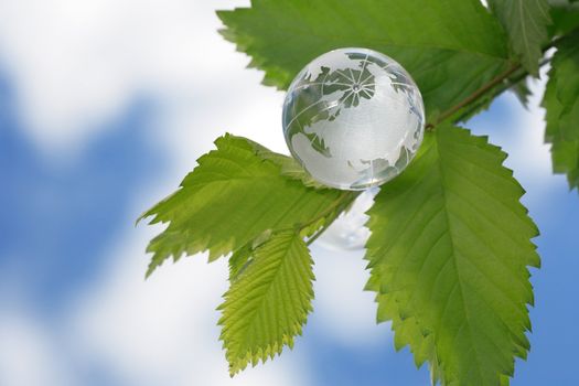 Glass globe lying on green leaves on mirror background with sky reverberation