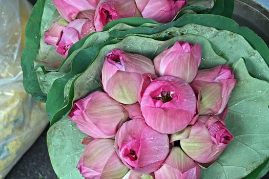 The lotus flower it's for offering the Buddha.