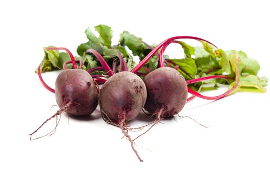 Shot of young beet isolated on white