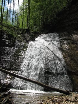 Falls; the river; a stream; water; a moisture; beauty; Caucasus; Russia; the Europe