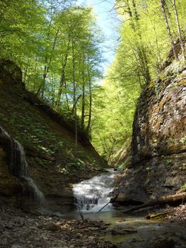 Falls; the river; a stream; water; a moisture; beauty; Caucasus; Russia; the Europe        