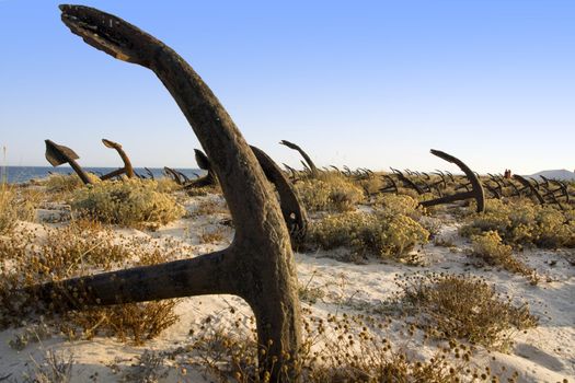 View of a cemetery of anchors placed on the Barril beach near Olhao city, Portugal.