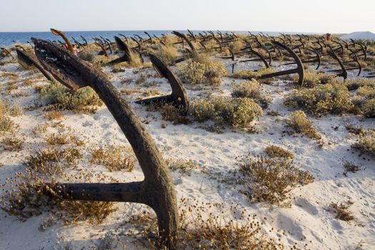 View of a cemetery of anchors placed on the Barril beach near Olhao city, Portugal.